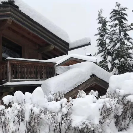 Authentic In Chamonix-mont-blanc شامونكس